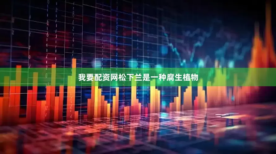 我要配资网松下兰是一种腐生植物