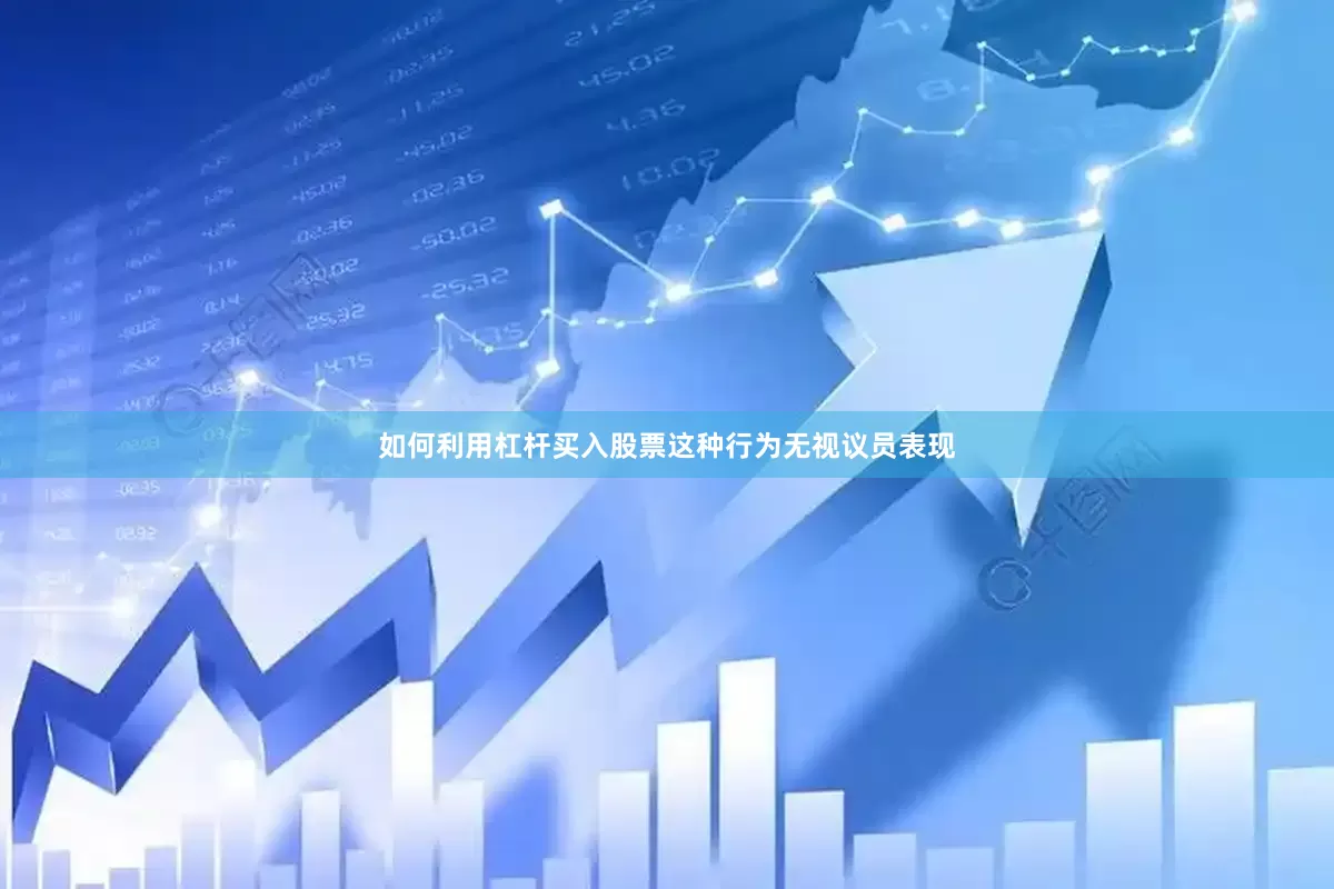 如何利用杠杆买入股票这种行为无视议员表现