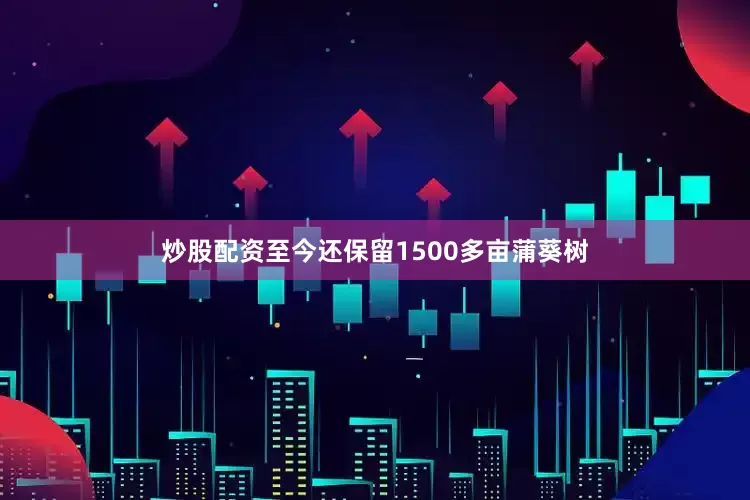 炒股配资至今还保留1500多亩蒲葵树